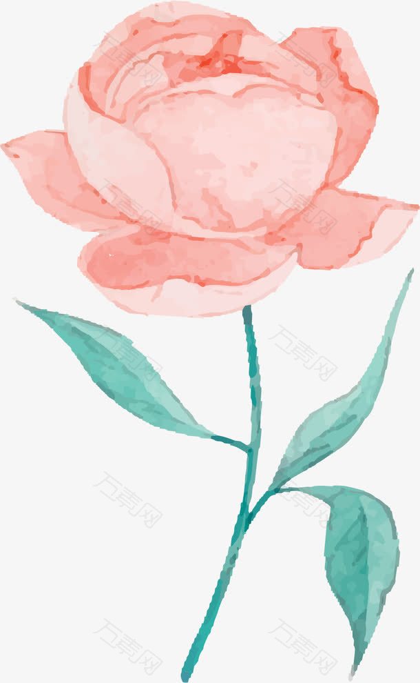 精美手绘粉色玫瑰