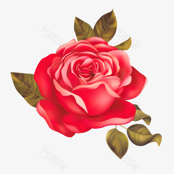 矢量手绘红色爱情玫瑰花