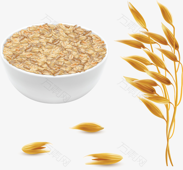 秋季丰收成熟燕麦