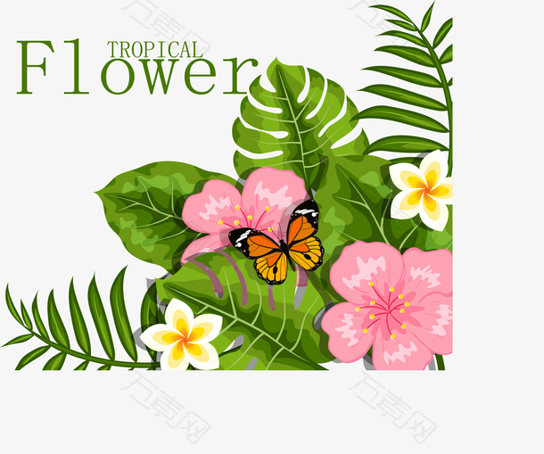 精美热带花卉和蝴蝶