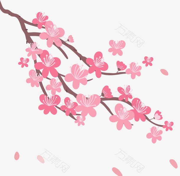 飞舞粉红樱花树枝