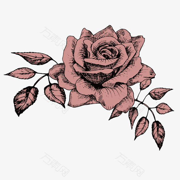 手绘复古玫瑰花设计素材
