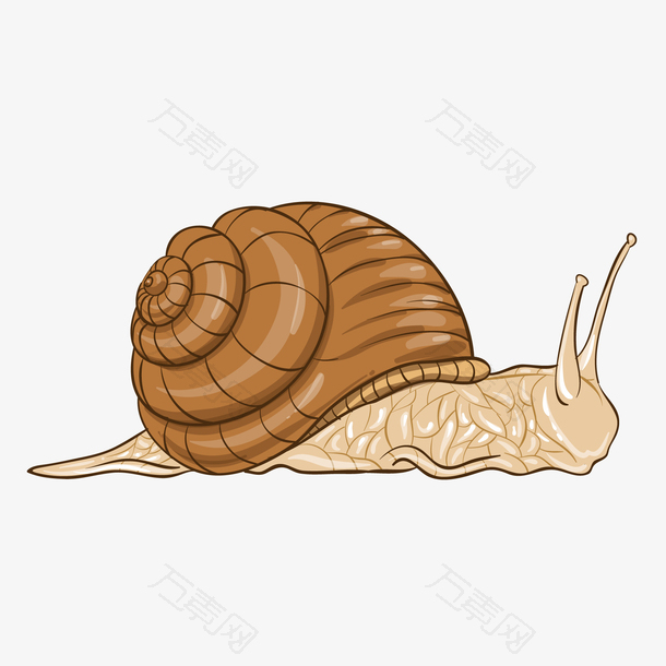 卡通蜗牛昆虫设计