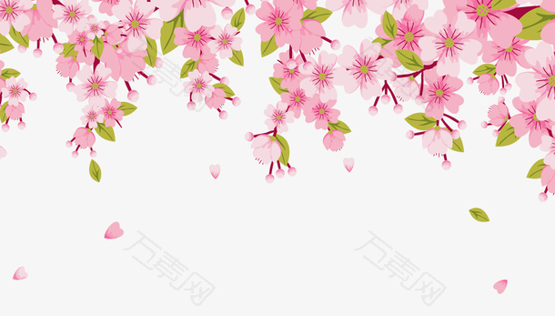 粉色鲜花顶部背景图