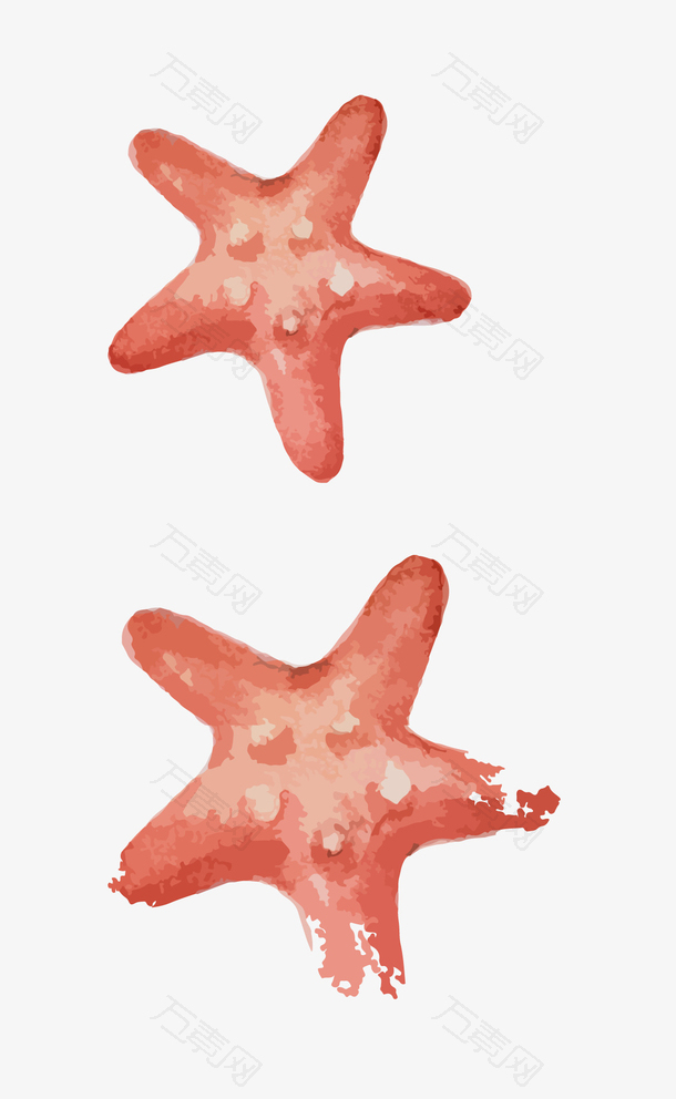红色手绘大海海星