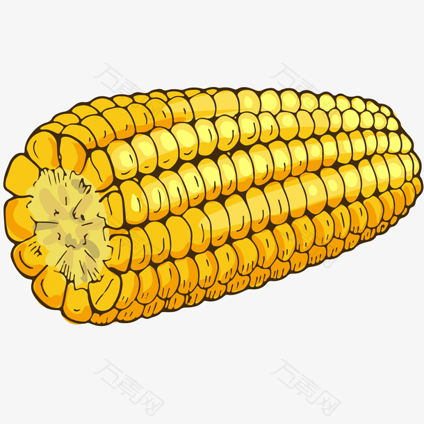 半个玉米矢量插画