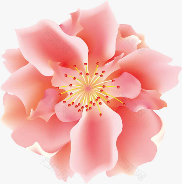 粉色3D立体花朵