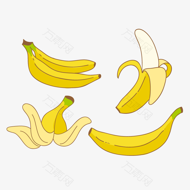 矢量香蕉形态