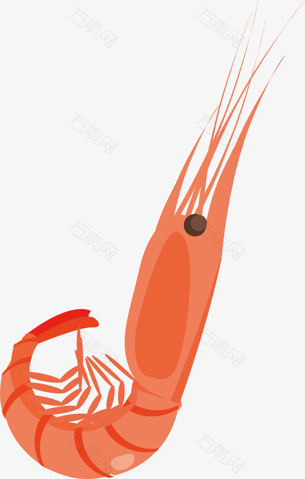 矢量图一只小龙虾