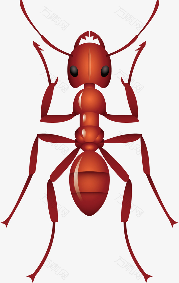 矢量图火红的蚂蚁