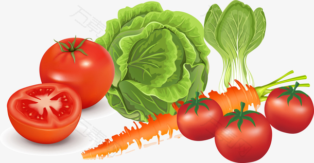 蔬菜3D效果图矢量图