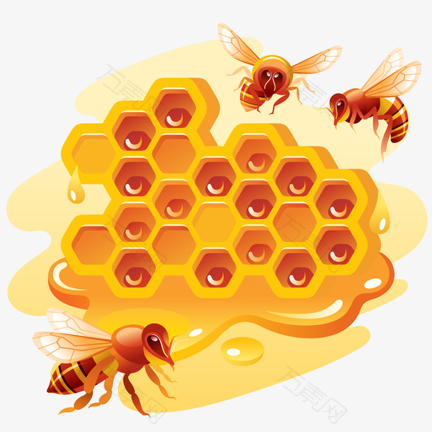 蜜蜂和蜂蜜矢量插画