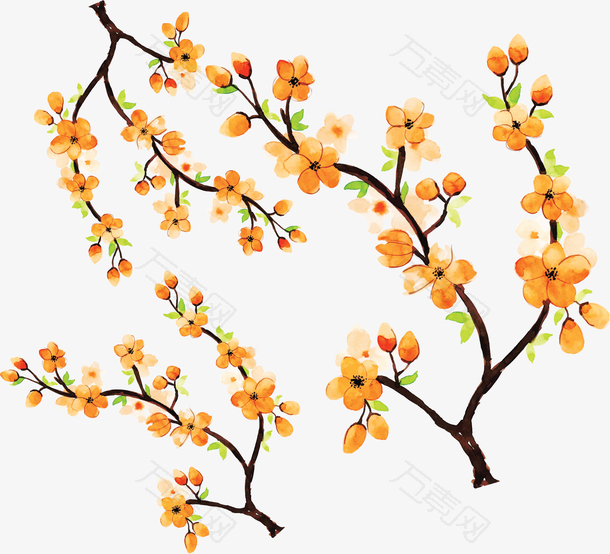 橘色水彩夏日花朵