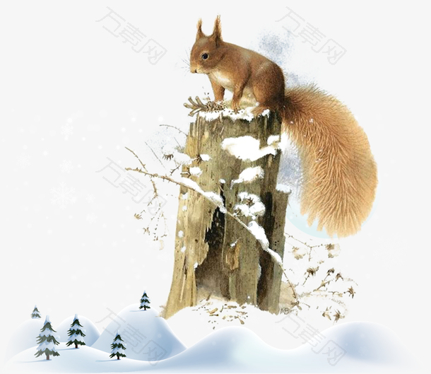 高清雪地里的松鼠