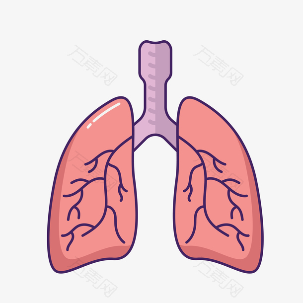 医疗肺模型装饰素材图案