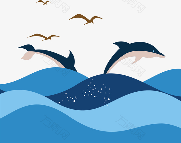 美丽海边飞跃的海豚