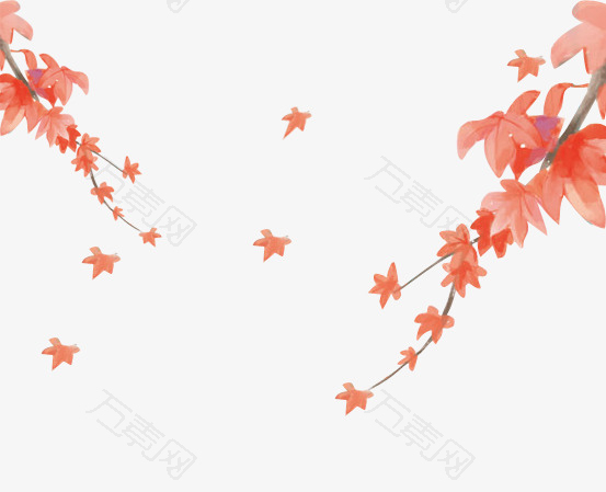 粉色树叶图案