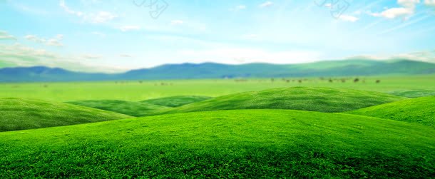 草原草地大自然绿色