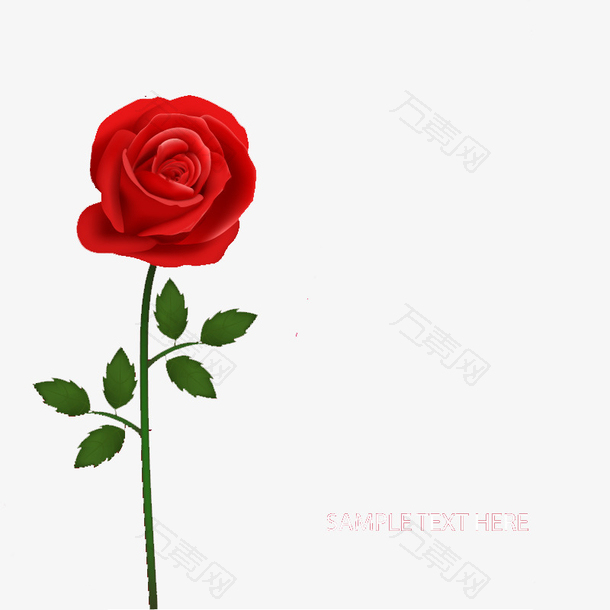 美丽红色玫瑰花枝矢量素材