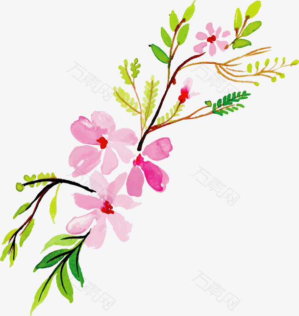 粉红色春天水彩花朵