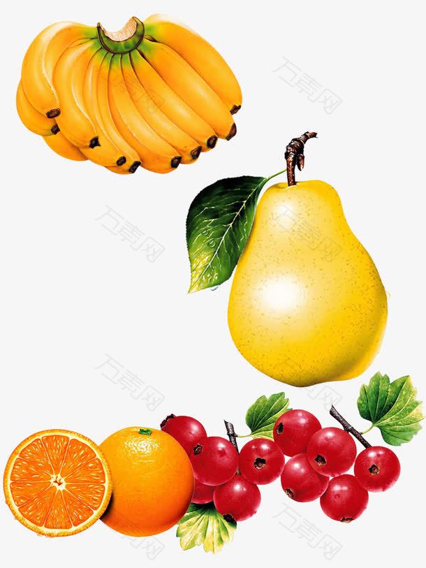 水果果类