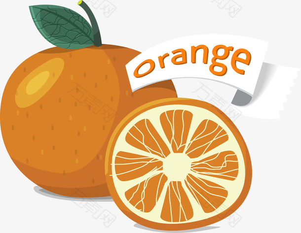 手绘橙子元素