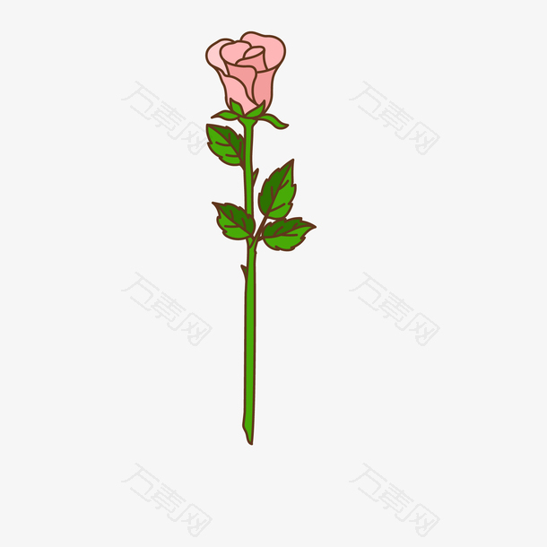 一支粉色的玫瑰花