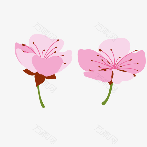 春季粉红色花朵樱花桃花素材