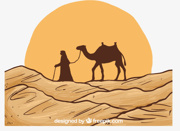 沙漠骆驼2003版图片