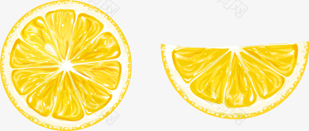 矢量手绘柠檬切片