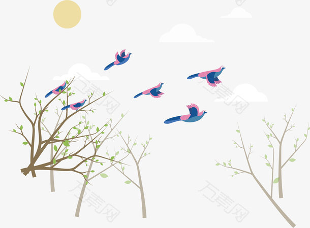 春天里自由飞翔的鸟