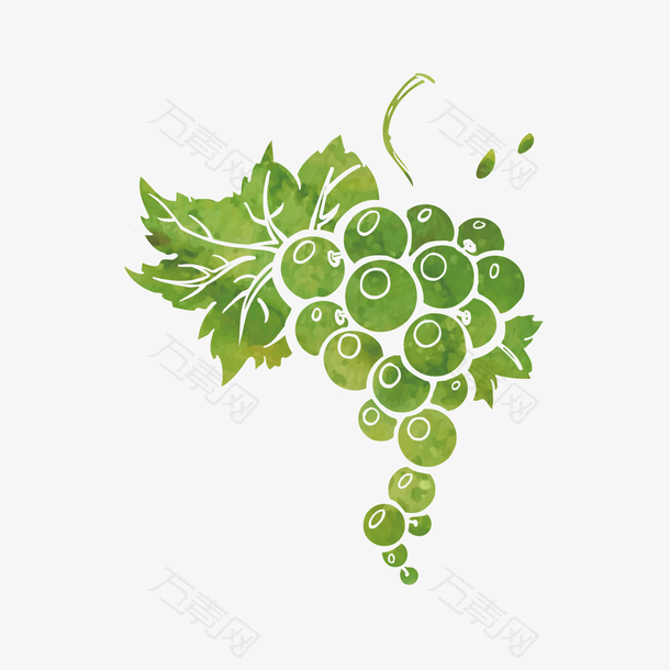 手绘卡通绿色葡萄设计