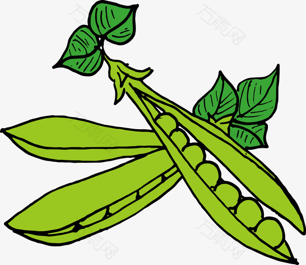 绿色豌豆设计