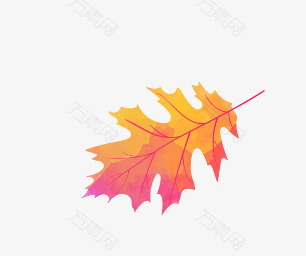 秋季彩色枫叶装饰图案