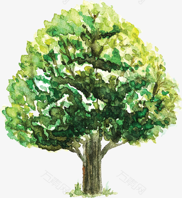 创意卡通树木手绘植物