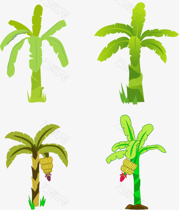 亚马逊热带植物