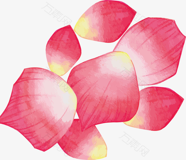 精美水彩粉色的花瓣矢量图