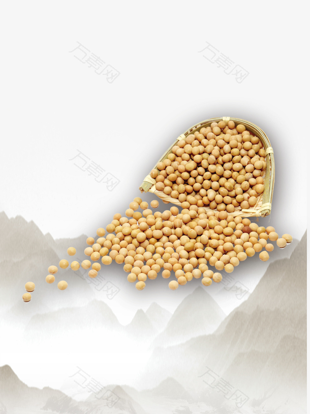 五谷杂粮中的黄豆