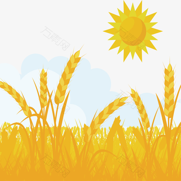 金色太阳下的金色小麦