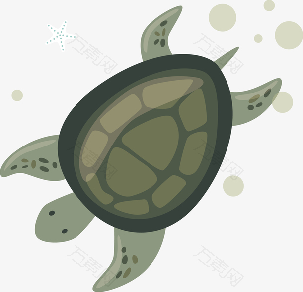 矢量图游泳的乌龟