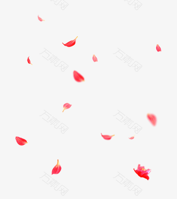 红色散落的花瓣免抠素材