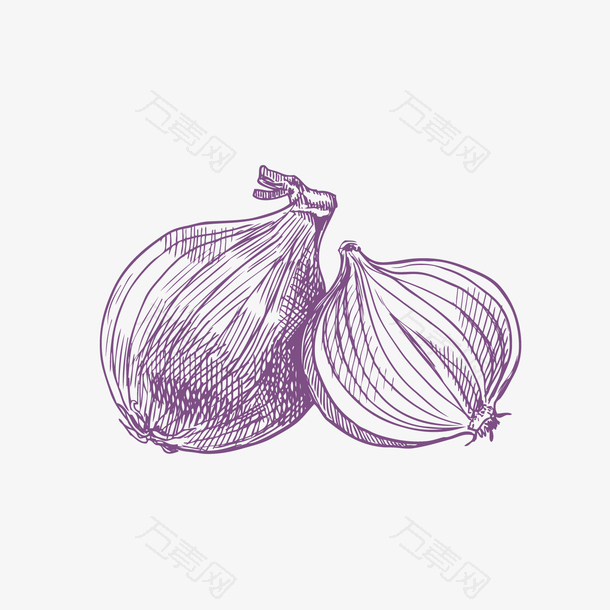 手绘紫色大蒜设计素材