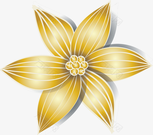 精致质感金色的菊花矢量素材