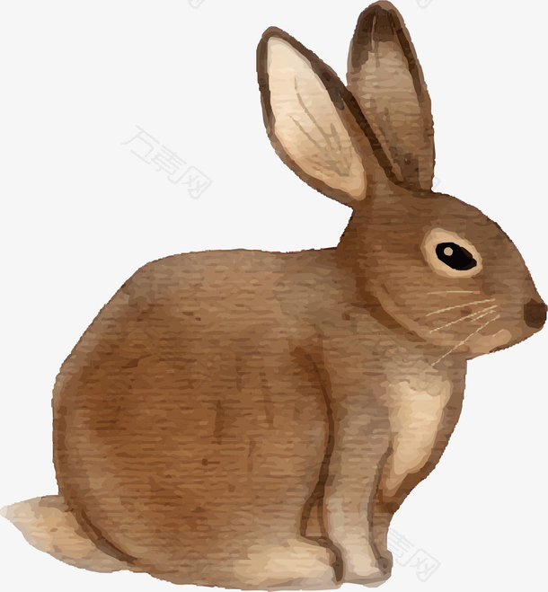 可爱手绘水彩小灰兔