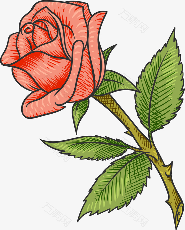 矢量图娇艳的红玫瑰