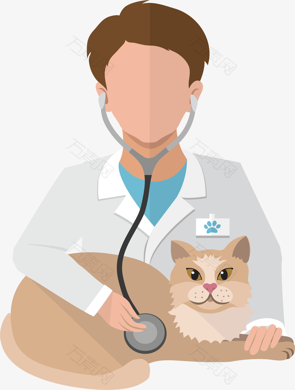 给猫咪看病的兽医