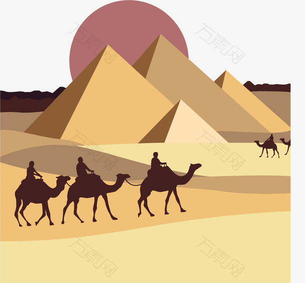 在埃及沙漠行走骆驼