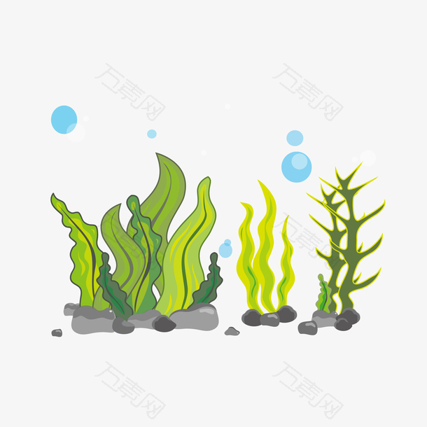 矢量水彩风格珊瑚藻