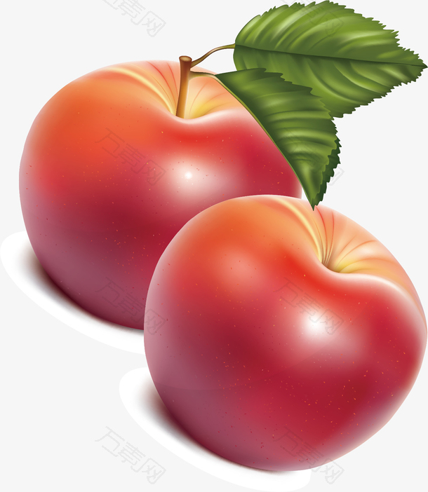 矢量图水彩红色苹果