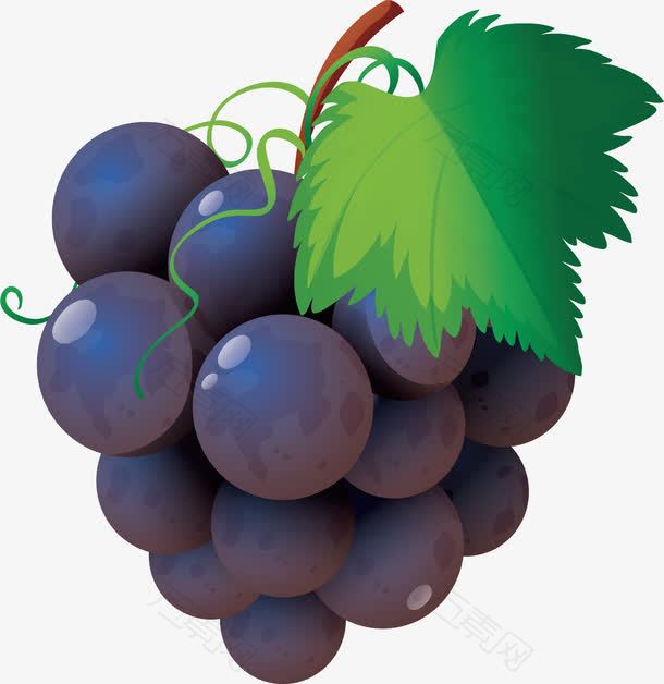 精致夏天美味葡萄